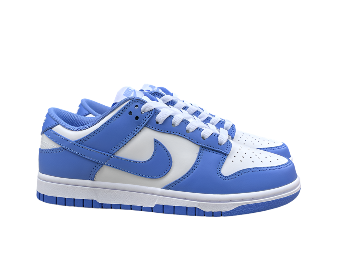 Nike Dunk Low Polar Blue